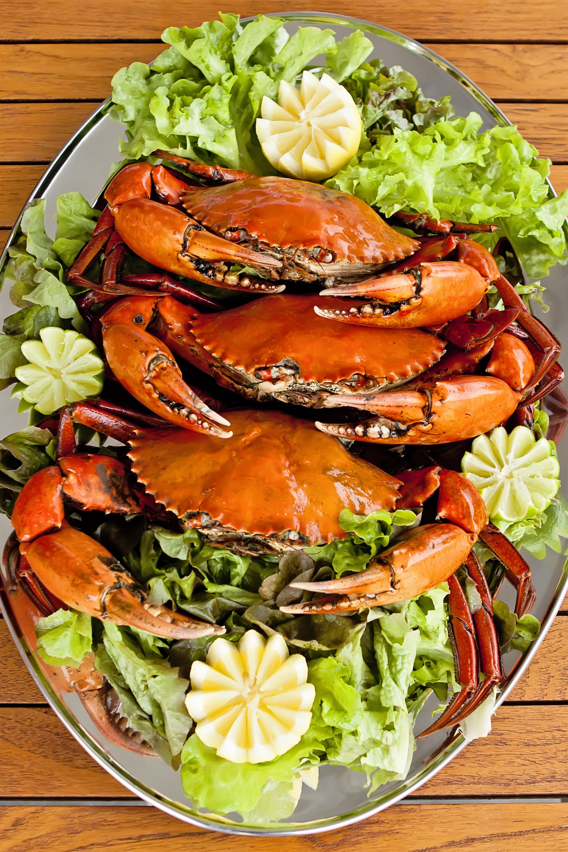 Fresh Seafood in Townsville Cleveland Bay Seafood