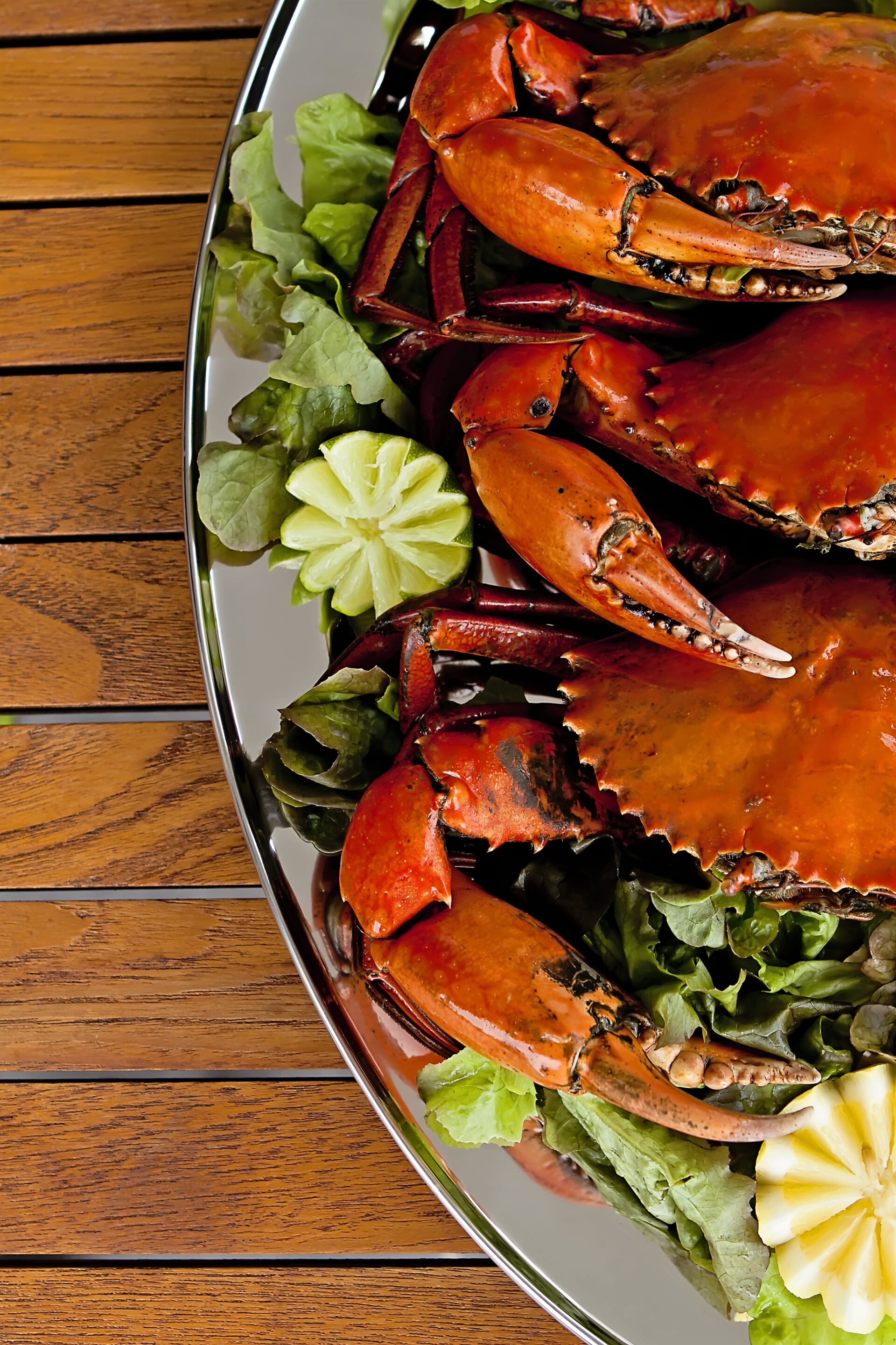 Fresh Seafood in Townsville Cleveland Bay Seafood