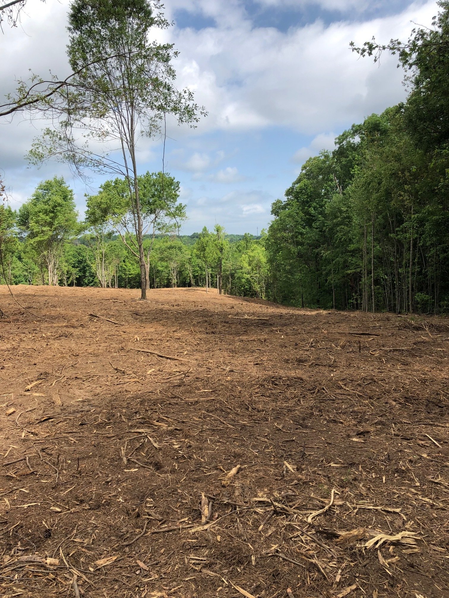 Forestry Mulching in Pine Mountain GA - Brush Clearing