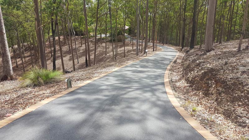 driveway through trees