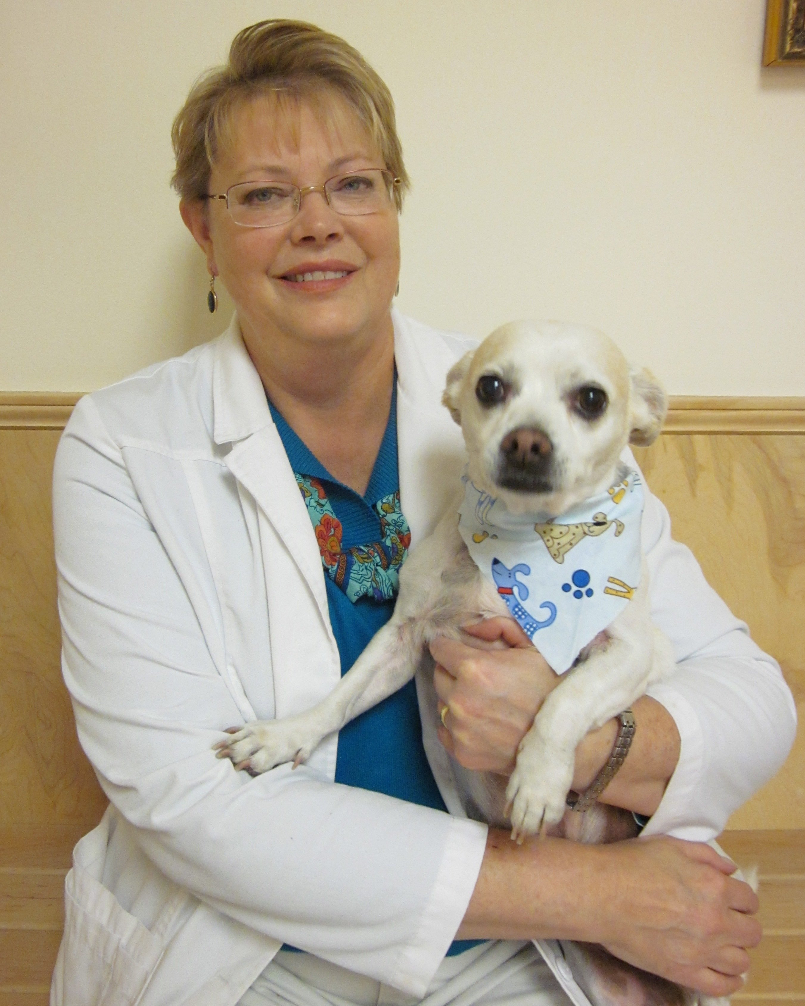 Animal Vaccinations Greensboro, NC University Animal Hospital