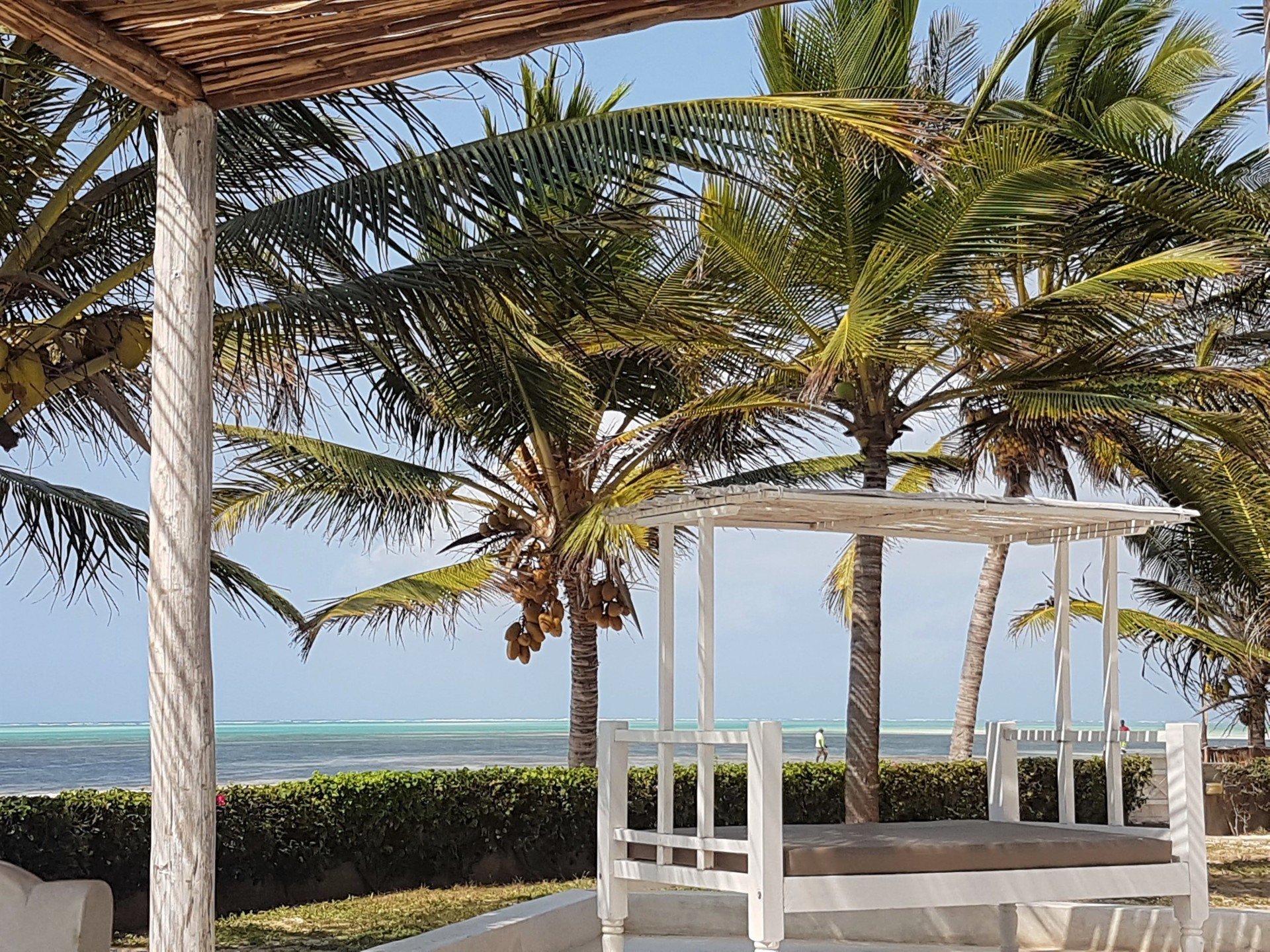 life resort saint thomas royal palm