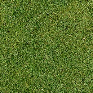 Turf Tips Lawn Aeration Aerated Lawn