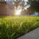 Australian_lawn_landscape_sunset-over-lawn-background