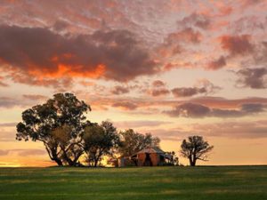 Australian_lawn_landscape__The-Palace-House-Where-Nobody