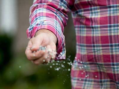 Autumn_lawn_care__0002_Fertilising