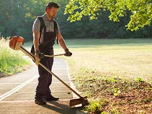 Better_lawn_edges_0001_REgular