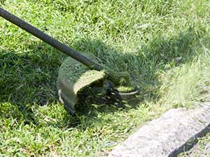 Better_lawn_edges_0002_Power