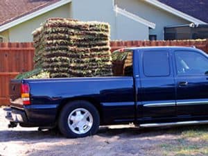 Delivery_Advantage__overloaded_ute