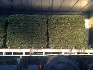 Delivery_Advantage__palletless_delivery