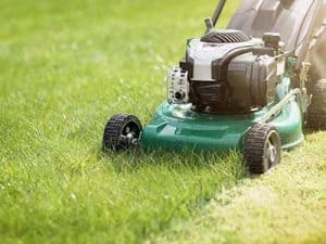 Dethatching__0000_Mowing