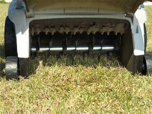 Dethatching__0004_CLose up