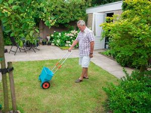 Early_spring__0000_Fertilising