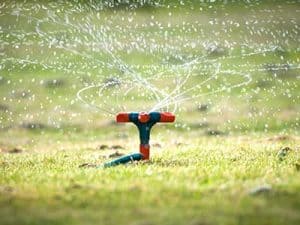 Early_spring__0001_Watering