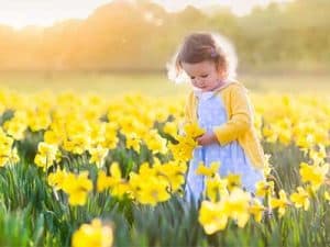 Early_spring__0002_Spring