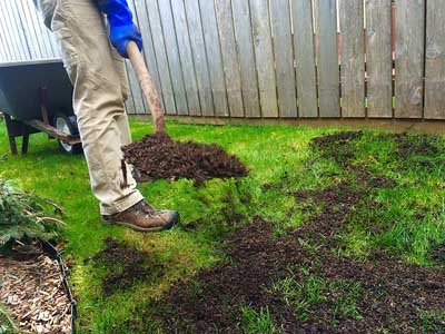 Establishing_a_new_lawn__0000_Topdressing