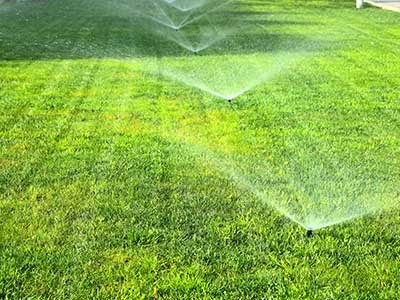 Establishing_a_new_lawn__0001_Watering