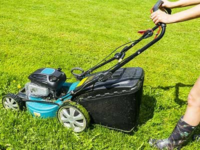 Establishing_a_new_lawn__0002_Mowing