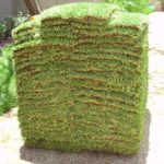Handling_turf_square_palletless_turf
