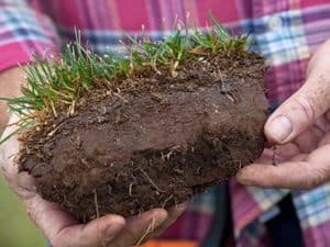 Jason_Turf_close_quality_turf