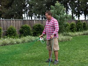 LAwn-winter-colour-cheat__0001_Spraying_ColourGuard