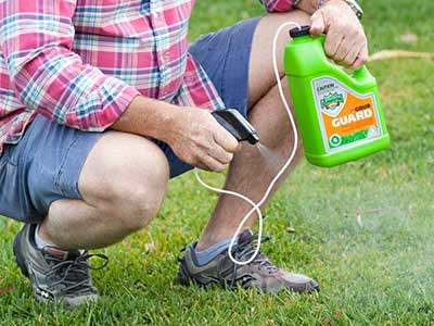 Lawn_grubs_or_dry_patches__0001_Spraying