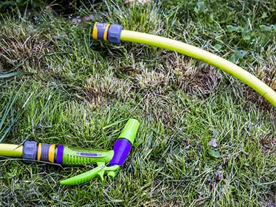 Lawn_grubs_or_dry_patches_hose