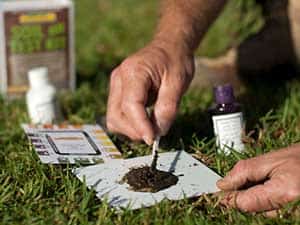 Lawn_pH_level__0002_ph_testing3