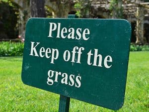Laying_turf_in_winter_keep-off-the-grass-sign