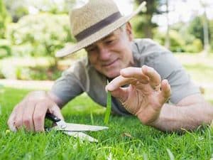 Mowing_tips__0004_cutting grass