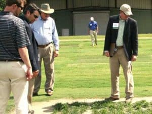 New_grass_varieties__0002_Testing