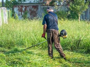 Premium_turf_grass__0000_Mowing