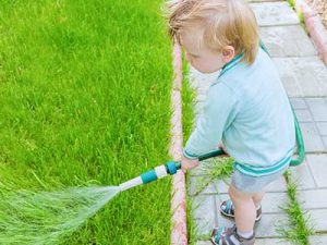 Premium_turf_grass__0001_Watering