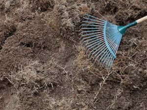 Prepare_for_a_new_lawn_clear