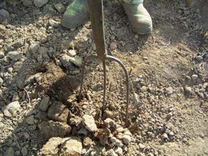 Prepare_for_a_new_lawn_clultivate