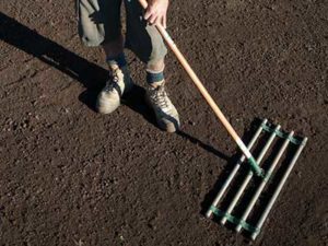 Prepare_for_a_new_lawn_level