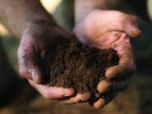 Prepare_for_a_new_lawn_topsoil