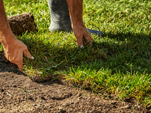 Repairing_patches_landscape__0003