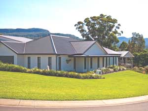 Sir_Walter_buffalo_myths__0001_Full Sun