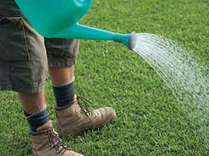 Sir_Walter_buffalo_myths__0002_Watering