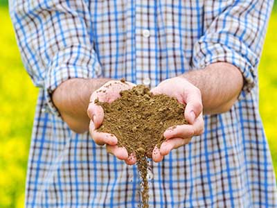 Soil_under_turf__0000_Soil hands