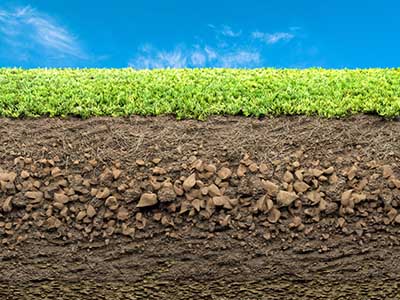 Soil_under_turf__0002_Soil profile