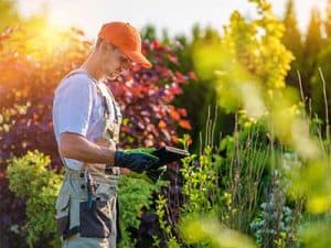 Spring_lawn_care_tips__0000_Gardener