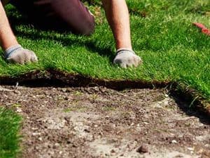 Spring_lawn_care_tips__0003_Laying turf
