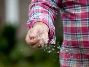 Spring_lawn_care_tips__0004_Fertilising