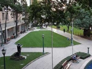 Stripe_your_lawn_Anzac_square