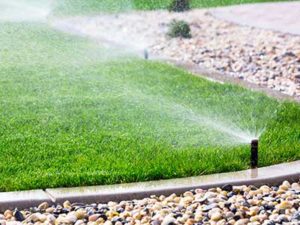 tap_timer_landscape_pop_up_sprinklers