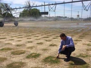 TifTuf_bermuda__0003_Trials