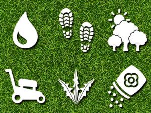 Turf_Buying_Guide__0000_turf characteristics