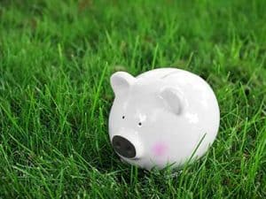 Turf_Buying_Guide__0001_turf prices